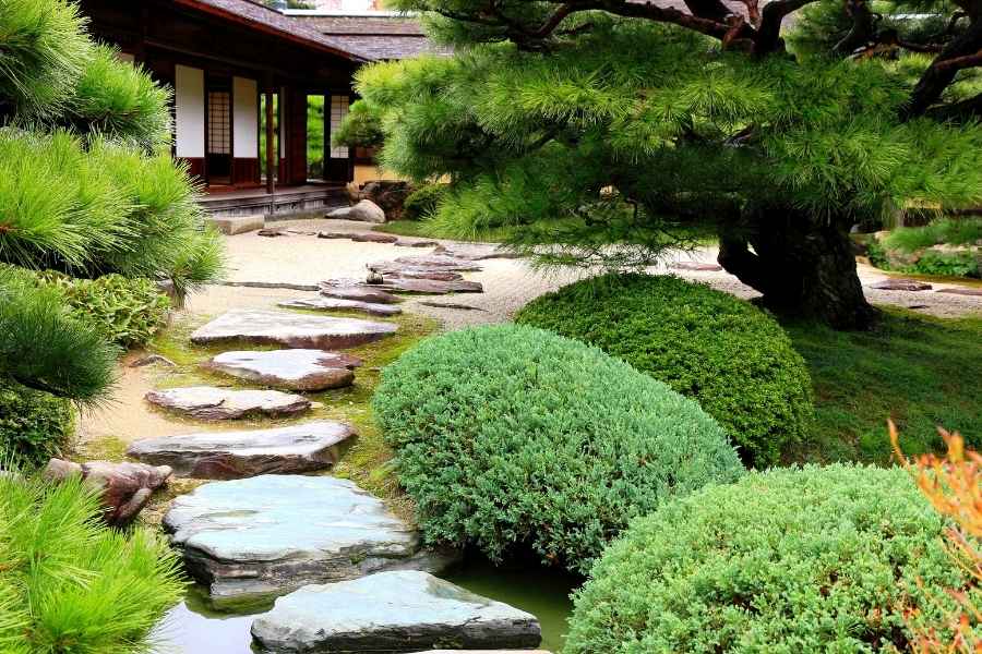 Un sentier composé de pierres plates traverse un jardin zen japonais paisible et verdoyant.
