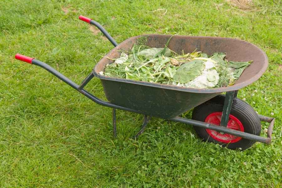 Une brouette remplie de déchets verts et de restes de plantes pour un petit jardin urbain.